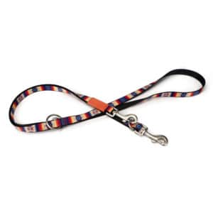Beeztees Nylon Train Leash Huvos 200x2cm