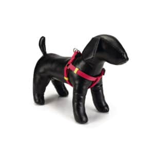 Beeztees Nylon Harness Uni Pink 35-60x1.5cm