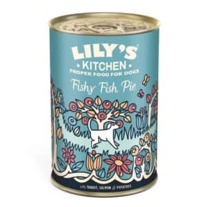 Fishy Fish Pie Adult Wet Dog Food 400g