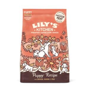 Lily's Kitchen Chicken & Salmon Puppy Recipe Complete Dry Dog Food