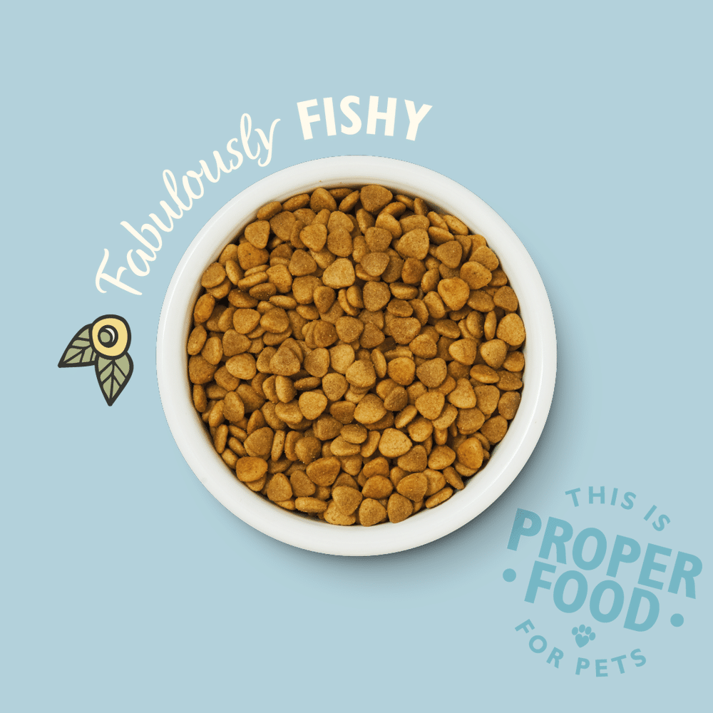 lily's kitchen fabulous fish