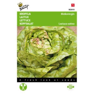 Buzzy® Lettuce (Butterhead) Maiking Seeds