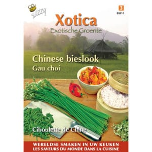 Buzzy® Xotica Chinese Chives