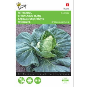 Buzzy® White Cabbage Express
