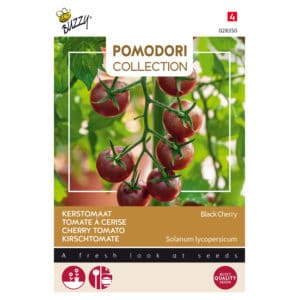 Buzzy® Pomodori, Tomato Black Cherry