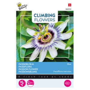 Buzzy® Climbing Flowers, Passiflora Blue