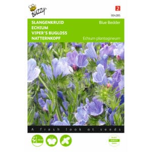 Buzzy® Viper’s bugloss - Blue Bedder