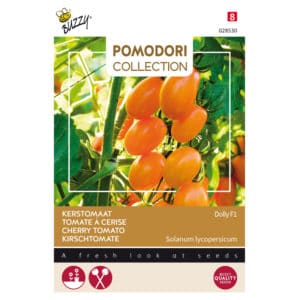 Buzzy® Pomodori, Tomato Dolly F1
