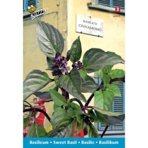 Buzzy® Sweet Basil Canella