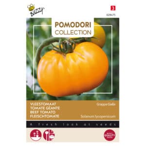Buzzy® Pomodori, Tomato Grappa Gialla