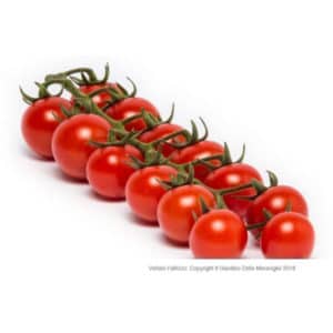 Cherry Tomato Plant 4 Seedlings Grafted