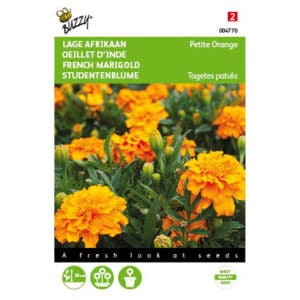 Buzzy® Tagetes Patula Nana Petite Orange
