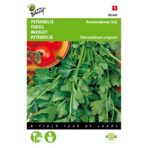 Buzzy® Parsley Amsterdam Cut