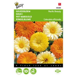 Buzzy® Pot Marigold Pacific Beauty Double Mixed