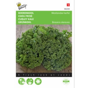 Buzzy® Kale Westland Autumn