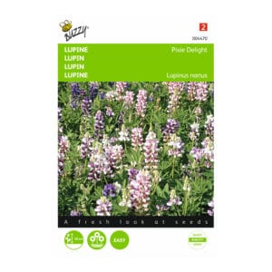 Buzzy® Lupin Pixie Delight, Mixed