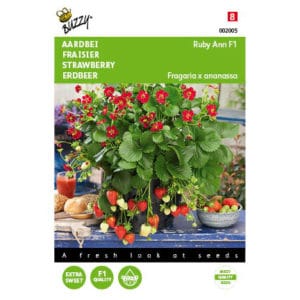 Buzzy® Hanging Strawberry Ruby Ann Red Flower F1