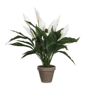 Artificial Spathiphyllum White In Pot Stan Grey