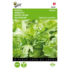 Buzzy® Arugula Wasabi