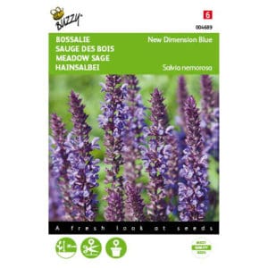 Buzzy® Salvia, Bossalie New Dimension Blue