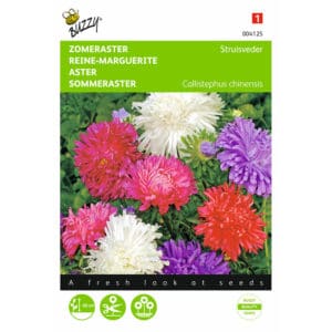 Buzzy® Callistephus, Summer Aster Ostrich Mix