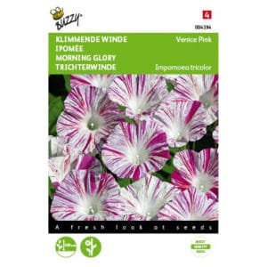 Buzzy® Ipomoea, Climbing Bindweed Venice Pink