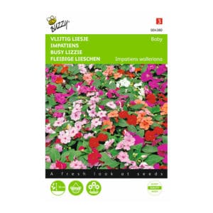 Buzzy® Impatiens, Busy Liesje Baby Mixed
