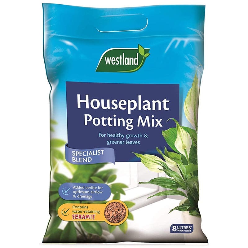 westland tree and shrub compost near me