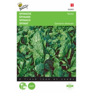 Buzzy® Spinach Nores