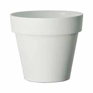Vaso Mitu Pac White