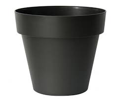 Vaso Mitu Pac Anthracite