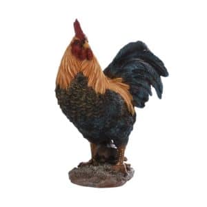 Cockerel S