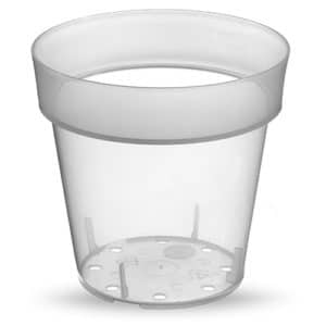 Vaso Iris - Trasparente