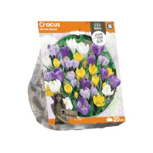 Crocus Vernus Mixed x20 bulbs
