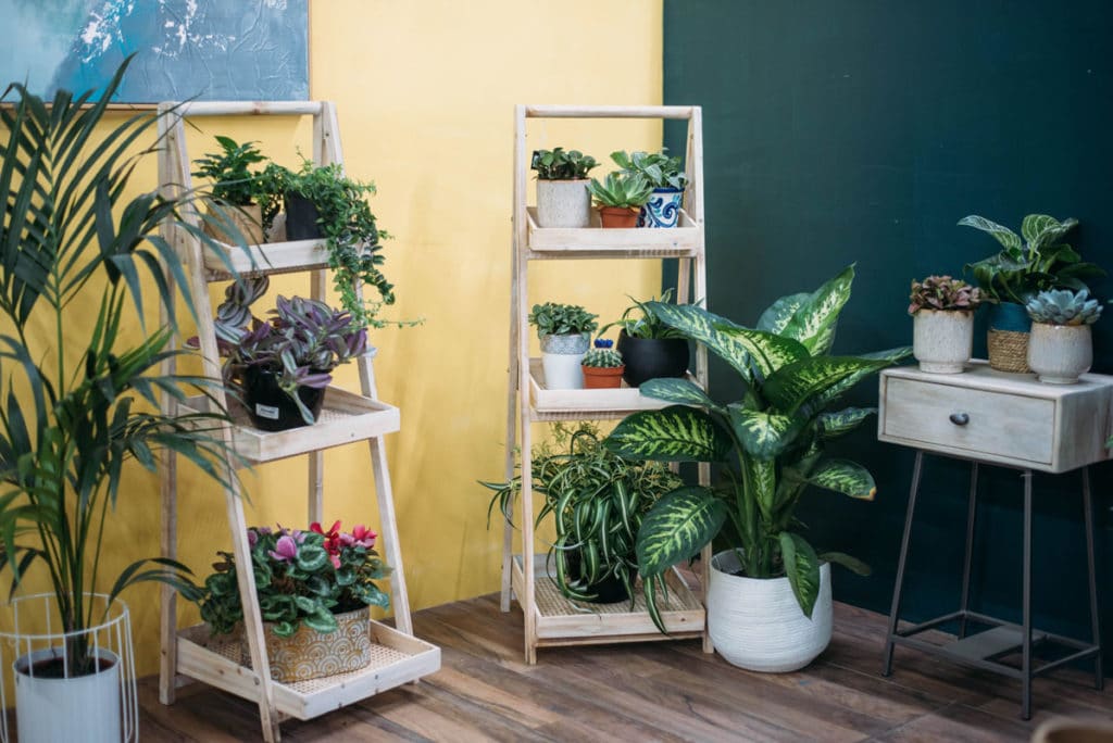 About Sherries Estates Leading Garden Center Malta