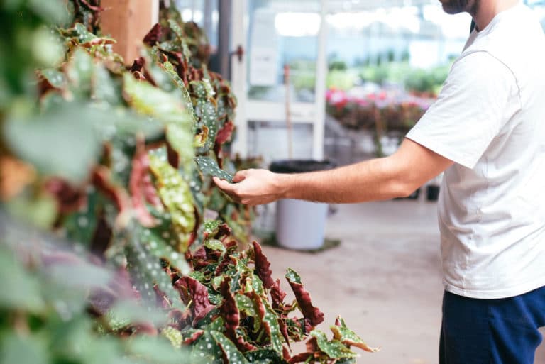 About Sherries Estates Leading Garden Center Malta