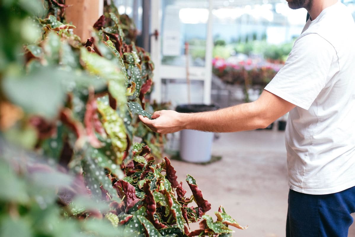 About Sherries Estates Leading Garden Center Malta