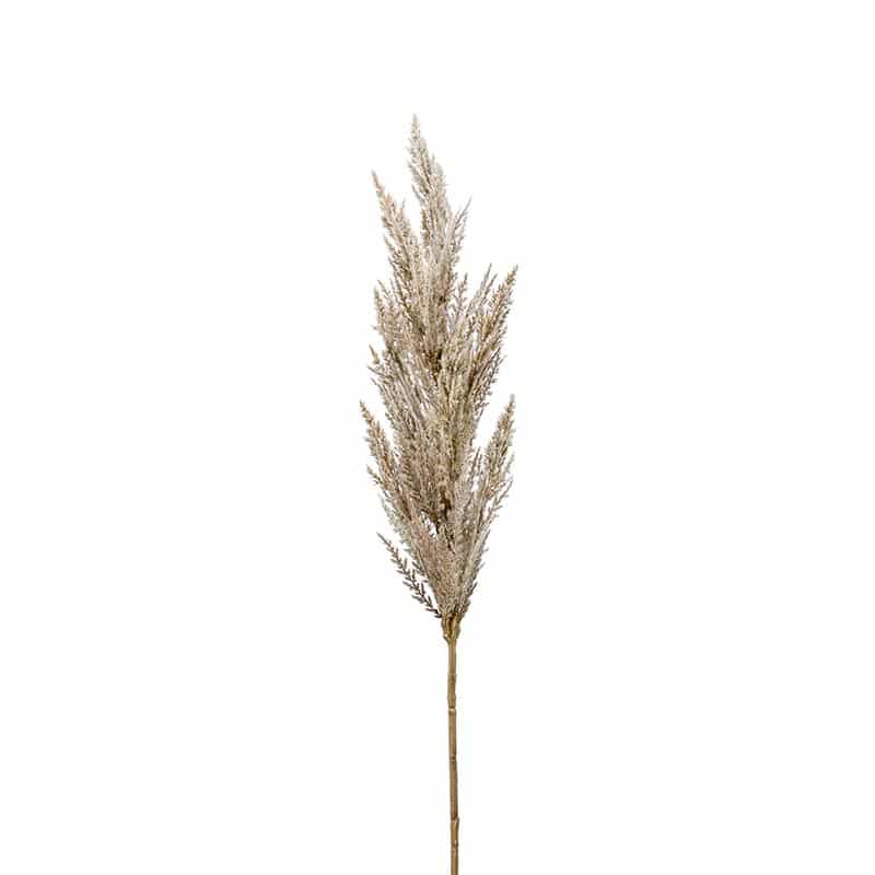 Artificial Pampas Grass Spray Cream 92cm - Sherries Estates