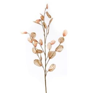 Artificial Lunaria Spray Light brown L105cm