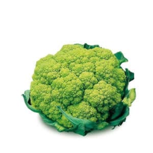 Cavolfiore Verde Ibrido (Broccoflower) 12 Seedlings