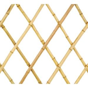 Bamboo extensible trellis with large canes