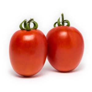Pomodoro per salsa Rio Grande 12 Seedlings