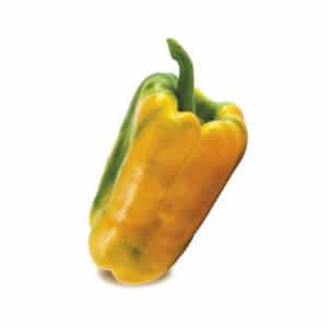 Peperone Giallo ibrido 6 seedlings