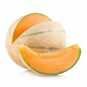 Melone Retato Degli Ortolani 6 Seedlings