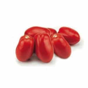 Pomodoro Per Salsa Roma 12 Seedlings