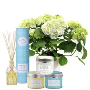 Polkadot Gift Pack