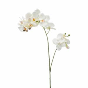Artificial Phalaenopsis Spray White