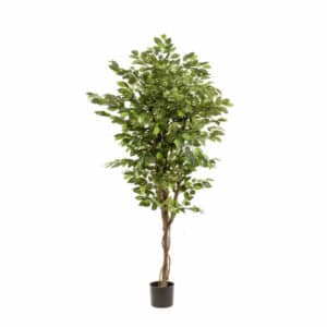 Artificial Ficus Deluxe Vine Tree 170cm