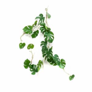 Artificial Monstera Vine 110cm