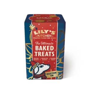 Dog Festive Baked Treats 300g